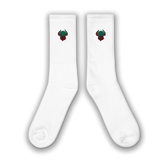 a new thing: Embroidered socks